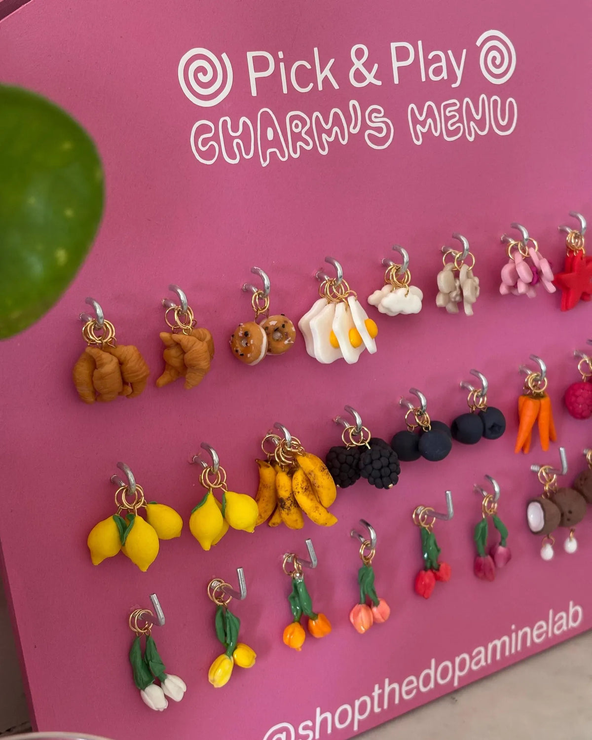 𖦹 Charms